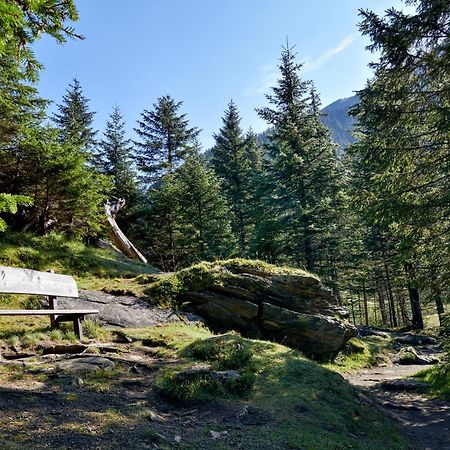 Ferienwohnung Innerhofer Hollersbach im Pinzgau Extérieur photo
