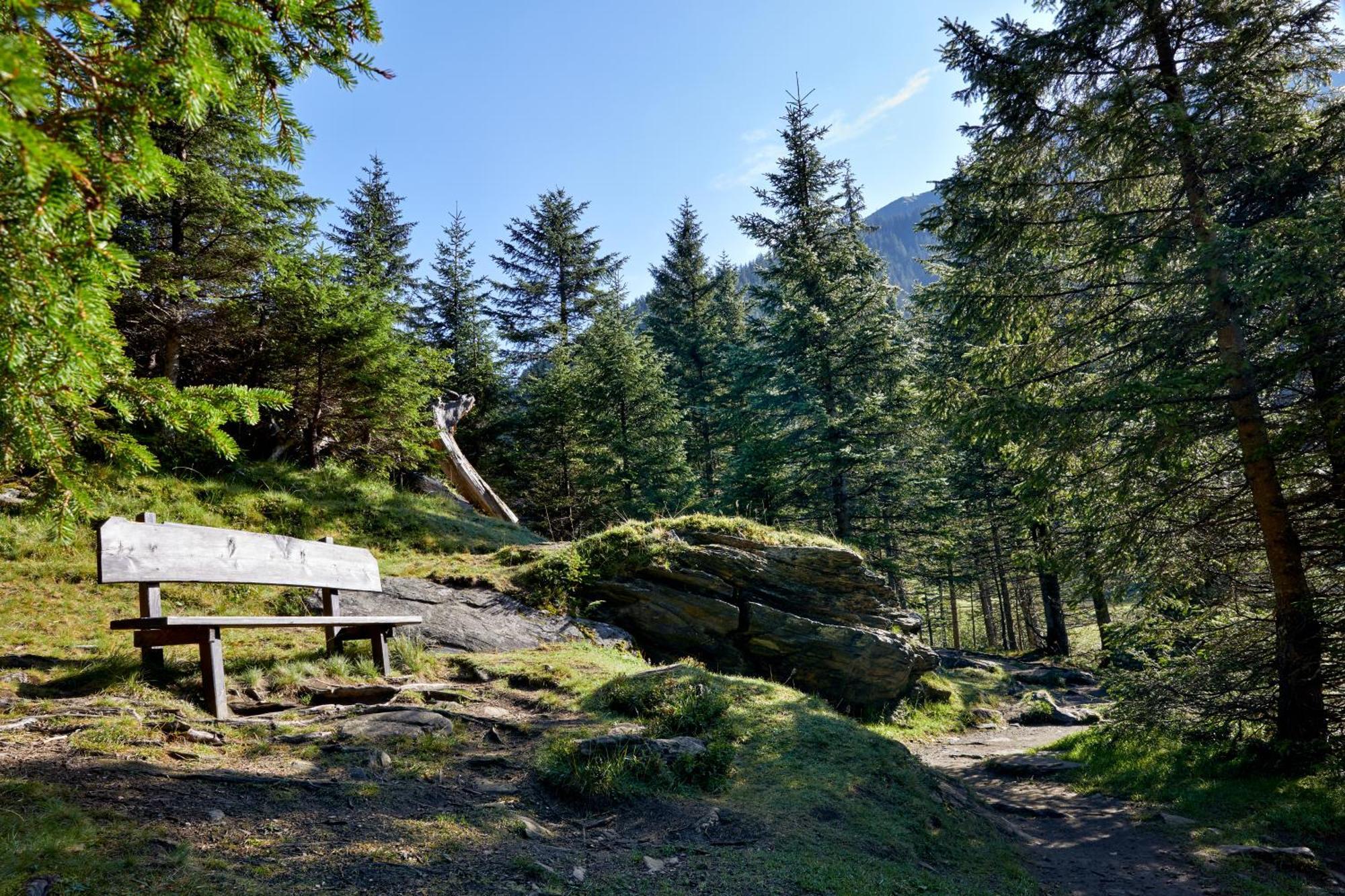 Ferienwohnung Innerhofer Hollersbach im Pinzgau Extérieur photo