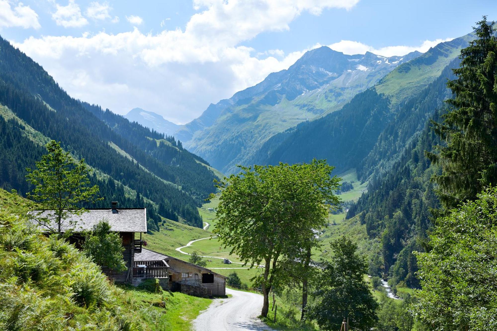 Ferienwohnung Innerhofer Hollersbach im Pinzgau Extérieur photo