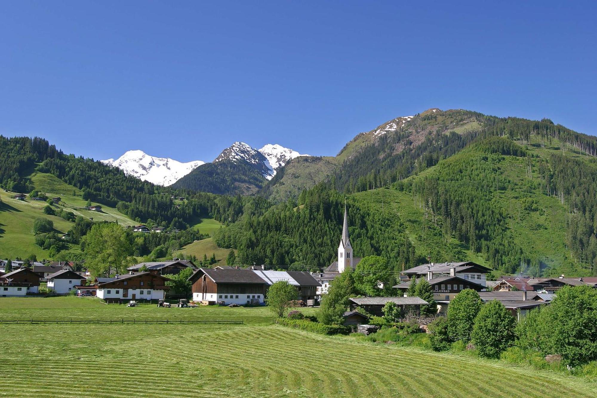 Ferienwohnung Innerhofer Hollersbach im Pinzgau Extérieur photo