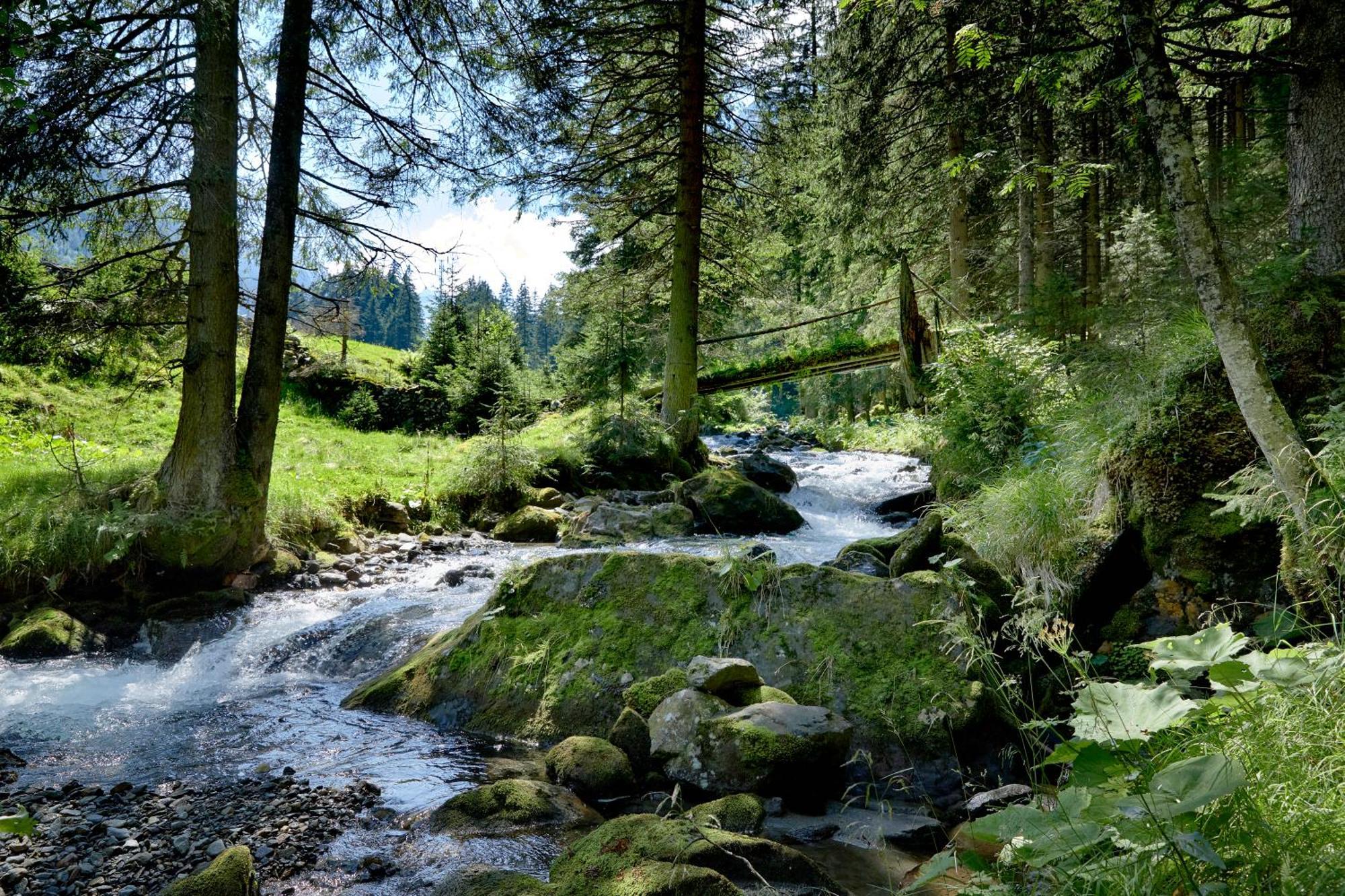 Ferienwohnung Innerhofer Hollersbach im Pinzgau Extérieur photo
